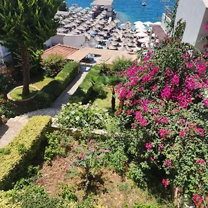 Hotel Amelie's &